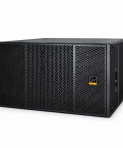 Loa Line Array CAF A210