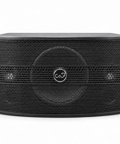 Loa CAF SF550 PRO