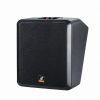 Loa Hội Thảo CAF HT06 Pro