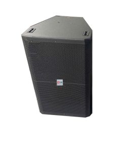 Loa hội trường L15Pro